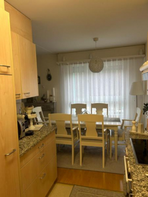 3 und halb Zimmer Wohnung 10 Minute zum ESC